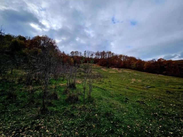 Prodaje se polj. gazdinstvo sa 3 objekta , 4, 76 ha, Čauševići, Prijepolje