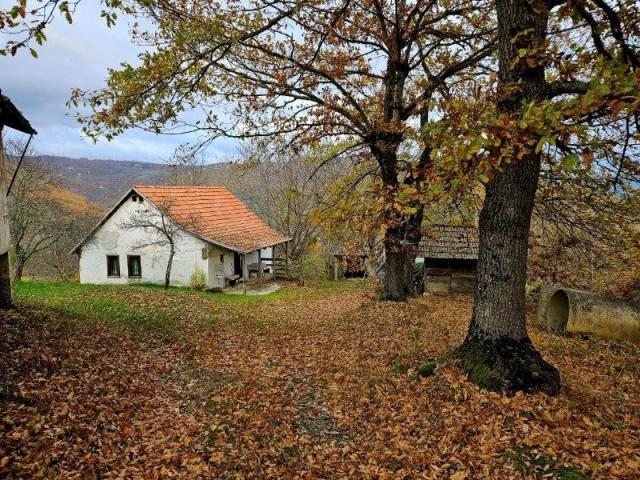 Prodaje se polj. gazdinstvo sa 3 objekta , 4, 76 ha, Čauševići, Prijepolje