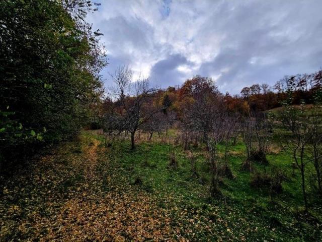 Prodaje se polj. gazdinstvo sa 3 objekta , 4, 76 ha, Čauševići, Prijepolje