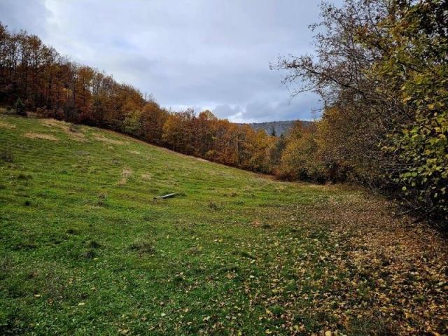 Prodaje se polj. gazdinstvo sa 3 objekta , 4, 76 ha, Čauševići, Prijepolje