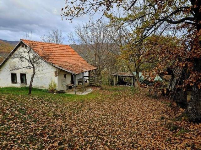 Prodaje se polj. gazdinstvo sa 3 objekta , 4, 76 ha, Čauševići, Prijepolje