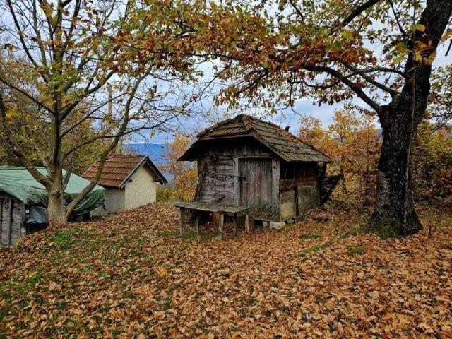 Prodaje se polj. gazdinstvo sa 3 objekta , 4, 76 ha, Čauševići, Prijepolje