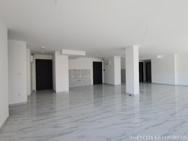 Izdavanje, Stan, 160. 00m2 , Centar