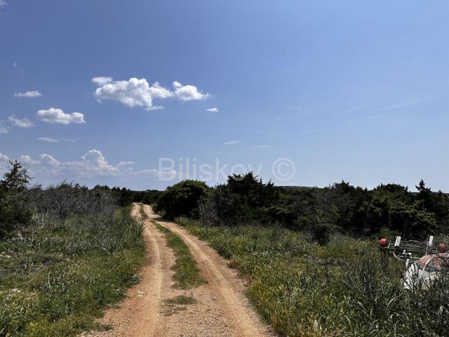 Prodaja, poljoprivredno zemljište, otok Pag 83. 000 m2