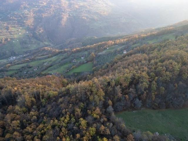 Prodaje se šumsko zemljište 2, 05 ha, Čauševići, Prijepolje