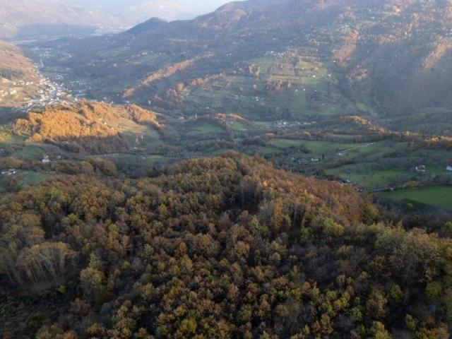 Prodaje se šumsko zemljište 2, 05 ha, Čauševići, Prijepolje