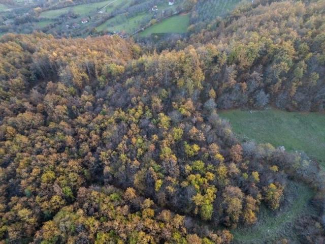 Prodaje se šumsko zemljište 2, 05 ha, Čauševići, Prijepolje