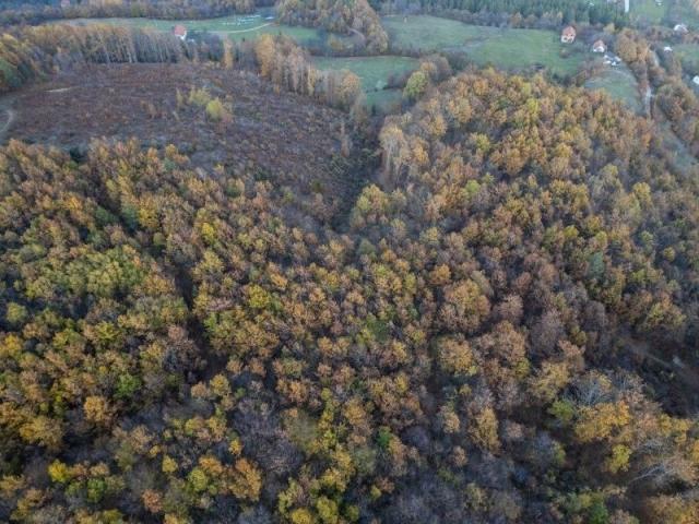 Prodaje se šumsko zemljište 2, 05 ha, Čauševići, Prijepolje