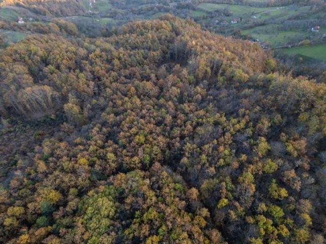 Prodaje se šumsko zemljište 2, 05 ha, Čauševići, Prijepolje