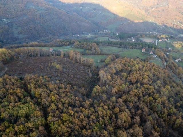 Prodaje se šumsko zemljište 2, 05 ha, Čauševići, Prijepolje