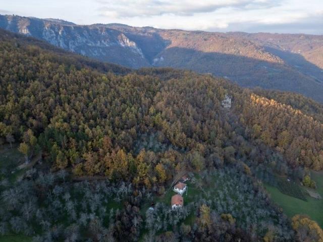 Prodaje se šumsko zemljište 2, 05 ha, Čauševići, Prijepolje