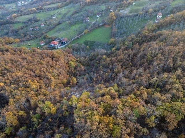 Prodaje se šumsko zemljište 2, 05 ha, Čauševići, Prijepolje