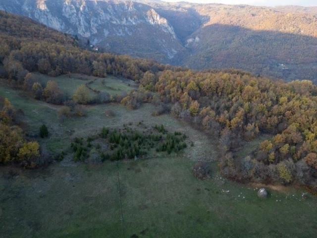 Prodaje se šumsko zemljište 2, 05 ha, Čauševići, Prijepolje