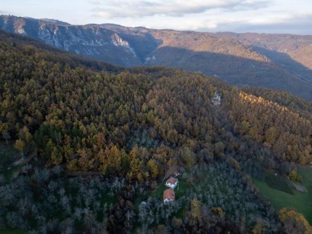 Prodaje se šumsko zemljište 2, 05 ha, Čauševići, Prijepolje