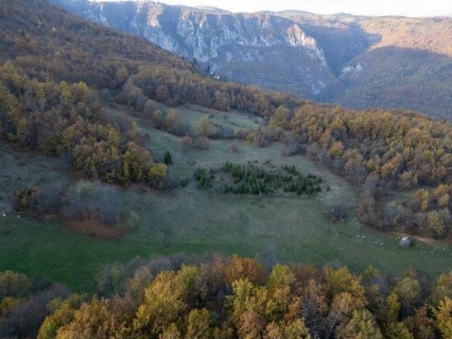 Prodaje se šumsko zemljište 2, 05 ha, Čauševići, Prijepolje