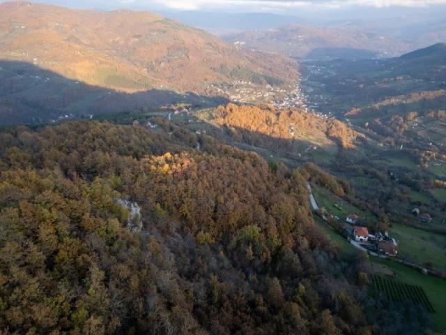 Prodaje se šumsko zemljište 2, 05 ha, Čauševići, Prijepolje