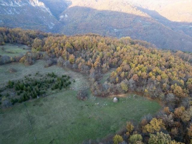 Prodaje se šumsko zemljište 2, 05 ha, Čauševići, Prijepolje