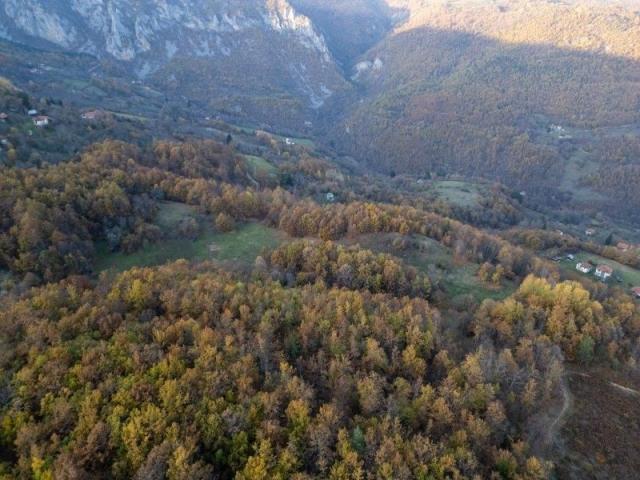 Prodaje se šumsko zemljište 2, 05 ha, Čauševići, Prijepolje