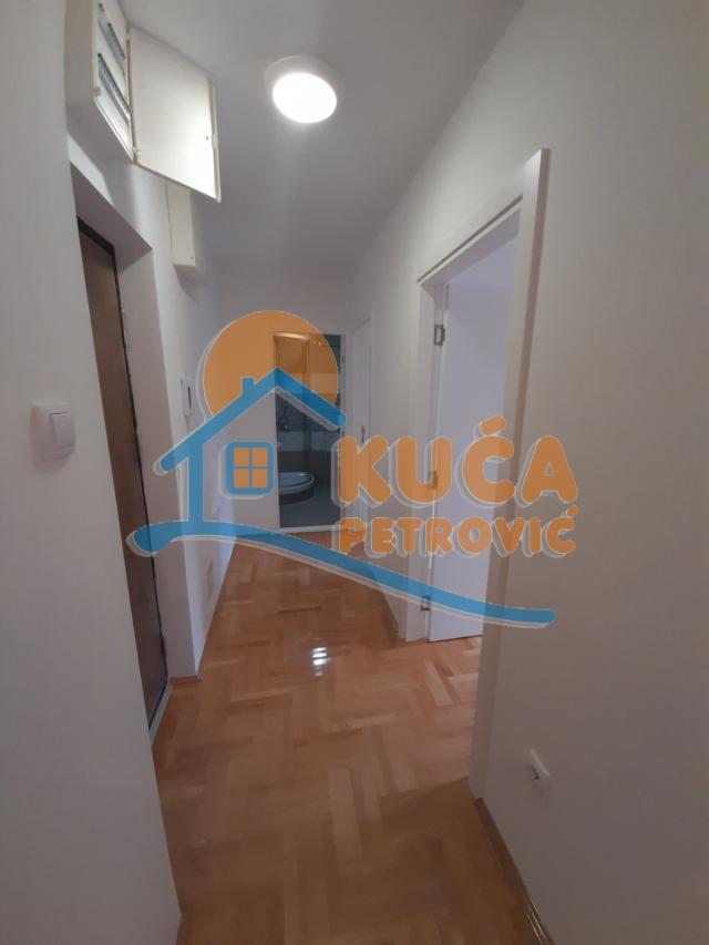 Izdaje se prazan stan, Centar, EG,  66m2, 480e