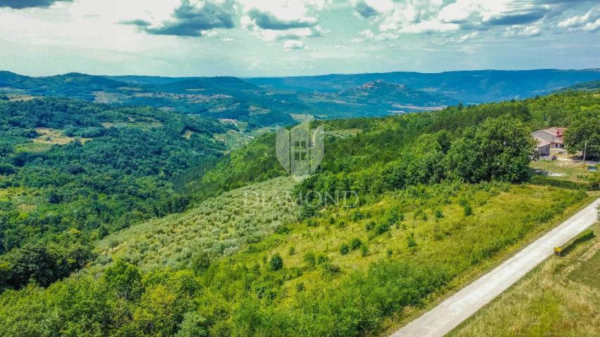 Prilika! Motovun, zemljište 5800 m2 sa panoramskim pogledom na zelenilo!