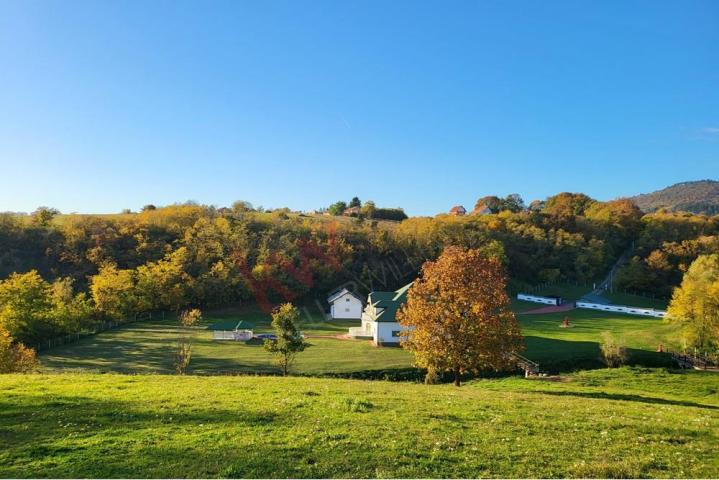 
				Kuća 554m2, na imanju od 3, 95ha, Avala
			