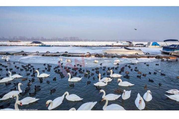 
				Izdavanje poslovnog prostora, stomatološka ordinacija, Zemun
			