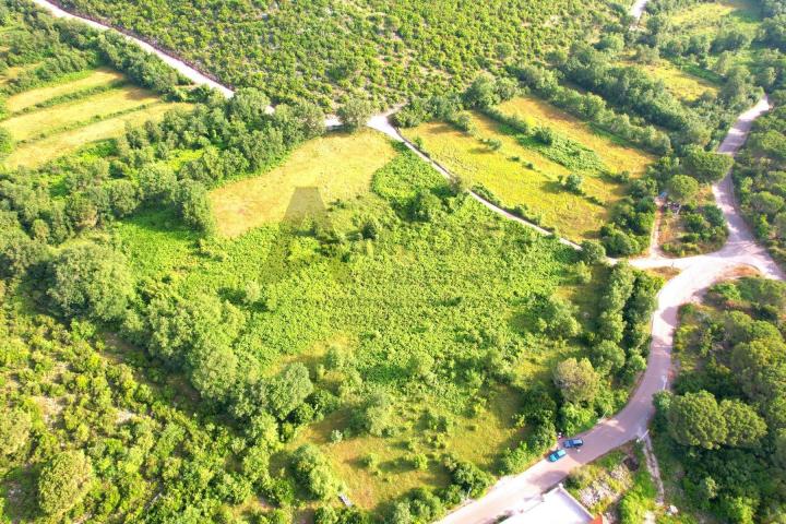 Dva atraktivna placa ukupne povrsine 1945m2  u Zagori, opština Kotor