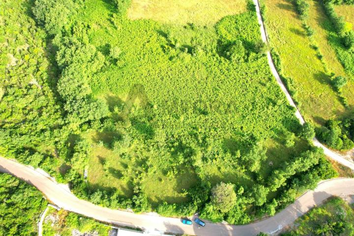 Dva atraktivna placa ukupne povrsine 1945m2  u Zagori, opština Kotor