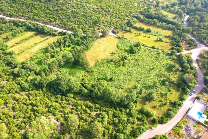 Dva atraktivna placa ukupne povrsine 1945m2  u Zagori, opština Kotor