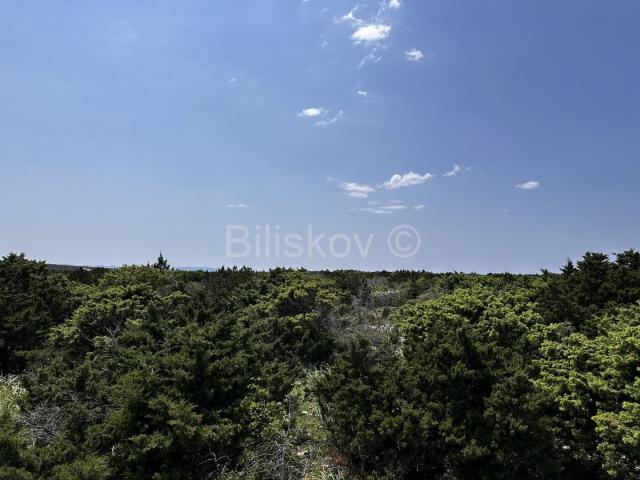 Prodaja, poljoprivredno zemljište, otok Pag 83.000 m2