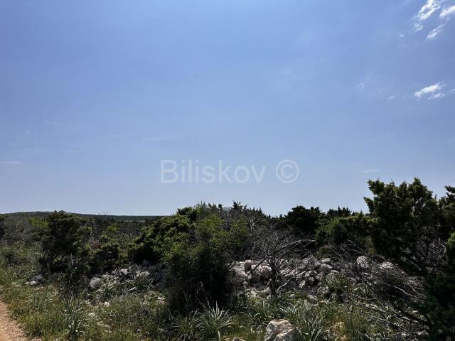 Prodaja, poljoprivredno zemljište, otok Pag 83.000 m2