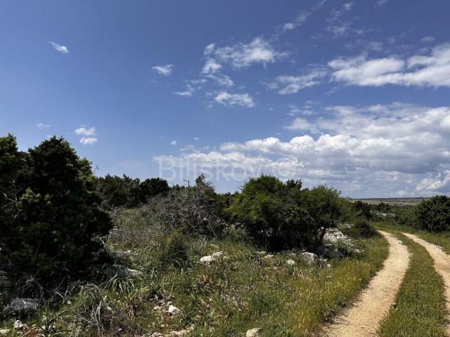 Prodaja, poljoprivredno zemljište, otok Pag 83.000 m2