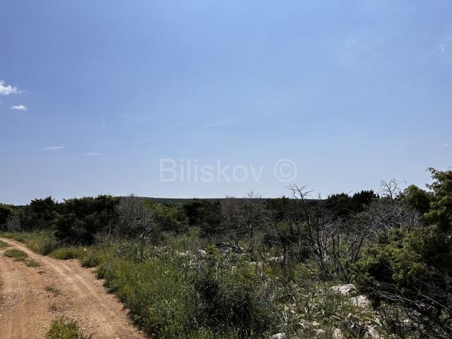 Prodaja, poljoprivredno zemljište, otok Pag 83.000 m2