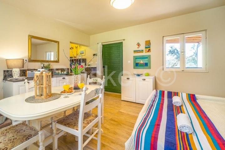 Stari Grad,  kuća 51 m2 sa maslinikom 2300 m2