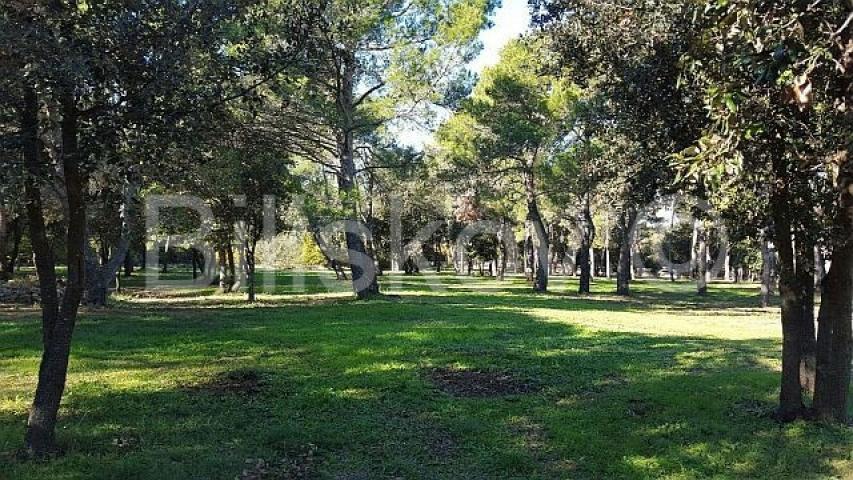 Prodaja, Rovinj, atraktivno građevinsko zemljište turističke namjene 