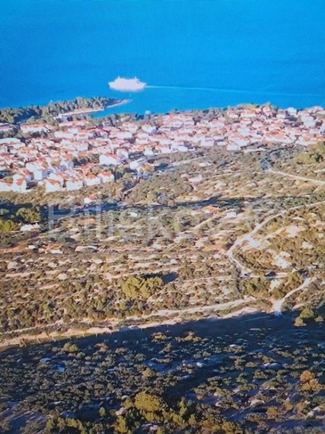 Brač, Supetar maslinik 14.050 m2, pogodan za OPG