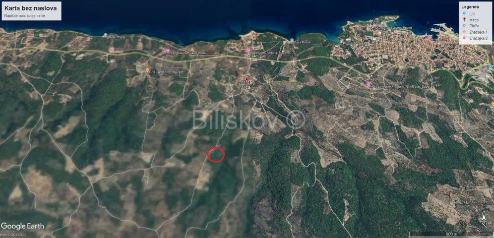 Prodaja maslinika, Mirca, otok Brač