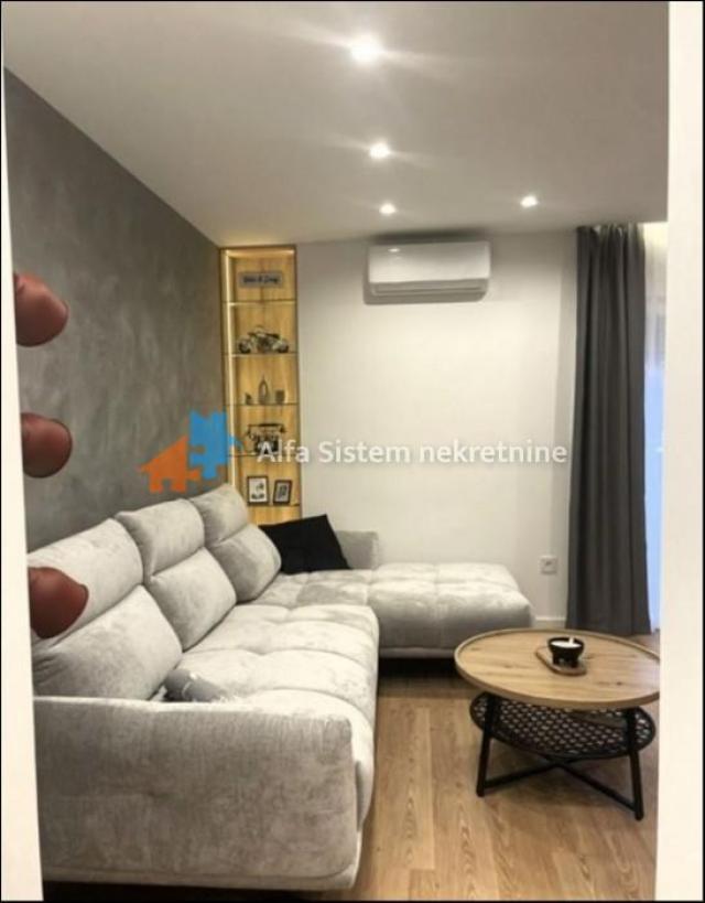Izdavanje, Stan, Senjak