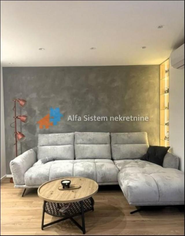 Izdavanje, Stan, Senjak