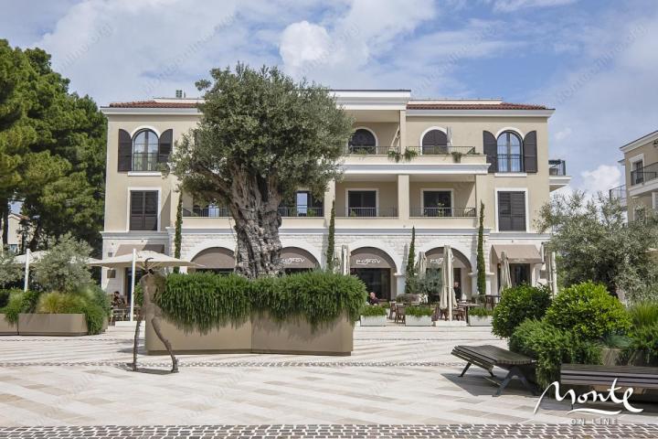 Prostran apartman sa jednom spavaćom sobom u elitnom kompleksu Centrale, Luštica Bay