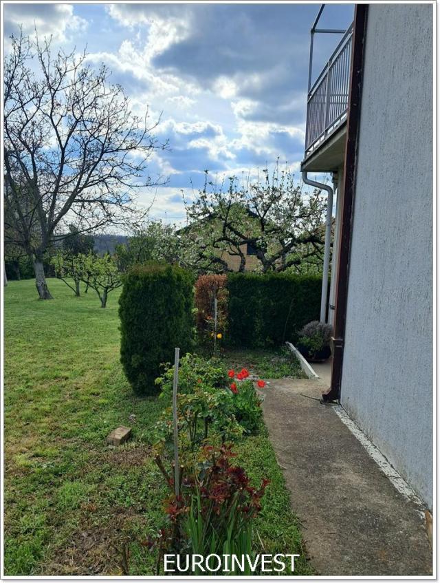 Uknjižena, sama kuća, garaža, 7 ari, lepo dvorište ID#1733