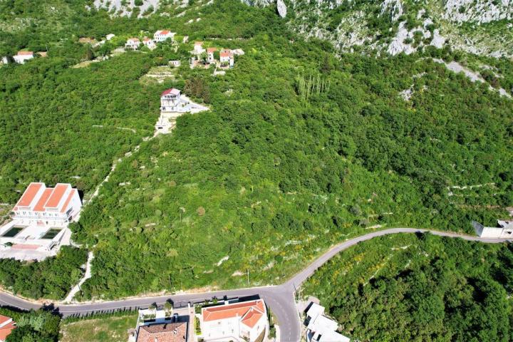 Prodaja, Plac, 8229m2 , Blizikuće