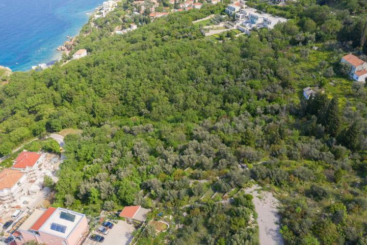 Prodaja, Plac, 2100m2 , Skočidjevojka