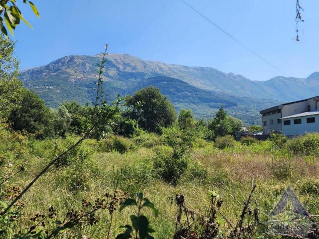 Prodaja, Plac, 3258m2 , Radanovići