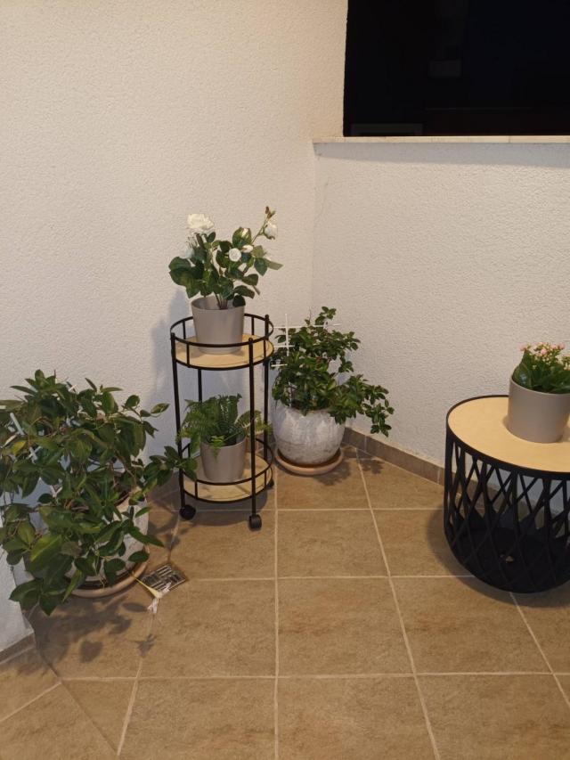 Izdavanje, Stan, 50m2 , Budva