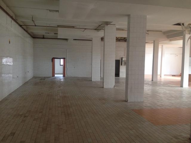 ZEMUN ALTINA 550m2 , 1750e