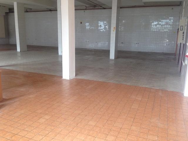 ZEMUN ALTINA 550m2 , 1750e
