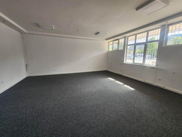Izdavanje, Poslovni prostor, 500m2 , Trošarina