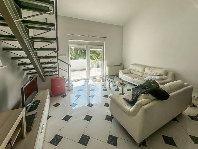 Novigrad, okolica, kuća sa 6 apartmana na 350m od mora