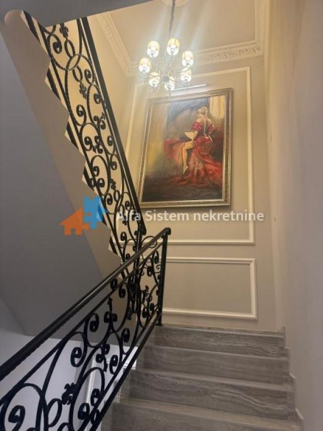 Izdavanje, Stan, Senjak